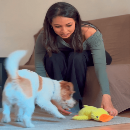 DuckyLund | Den beroligende ven mod hundens stress