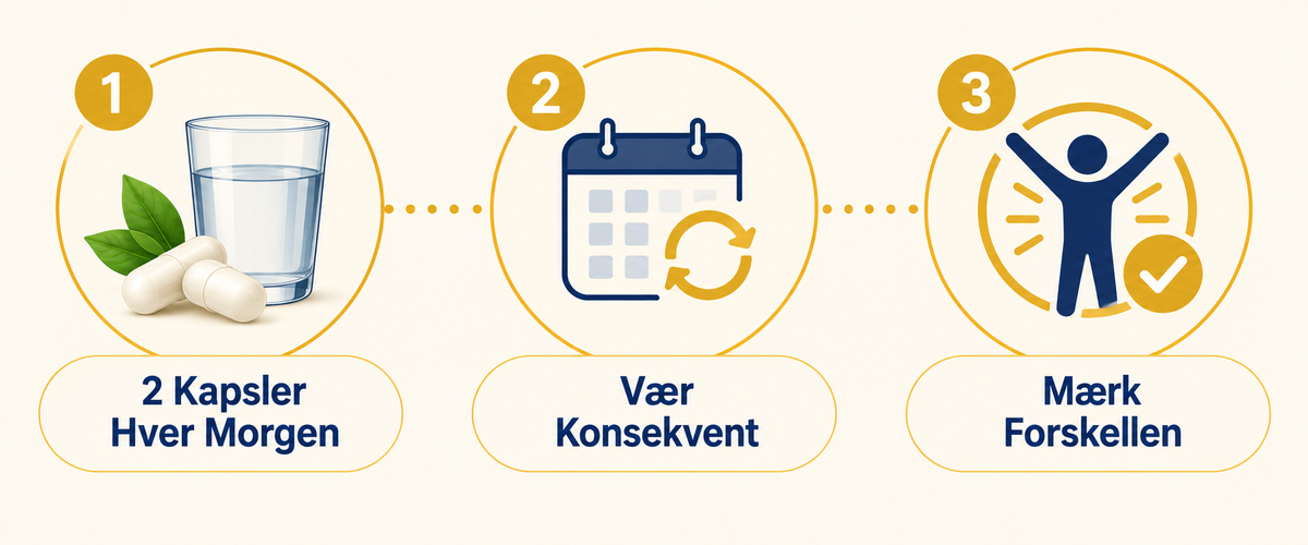 Trænfri Blærestøtte | Genopretter Fuld Blærekontrol På Blot 7 Dage!