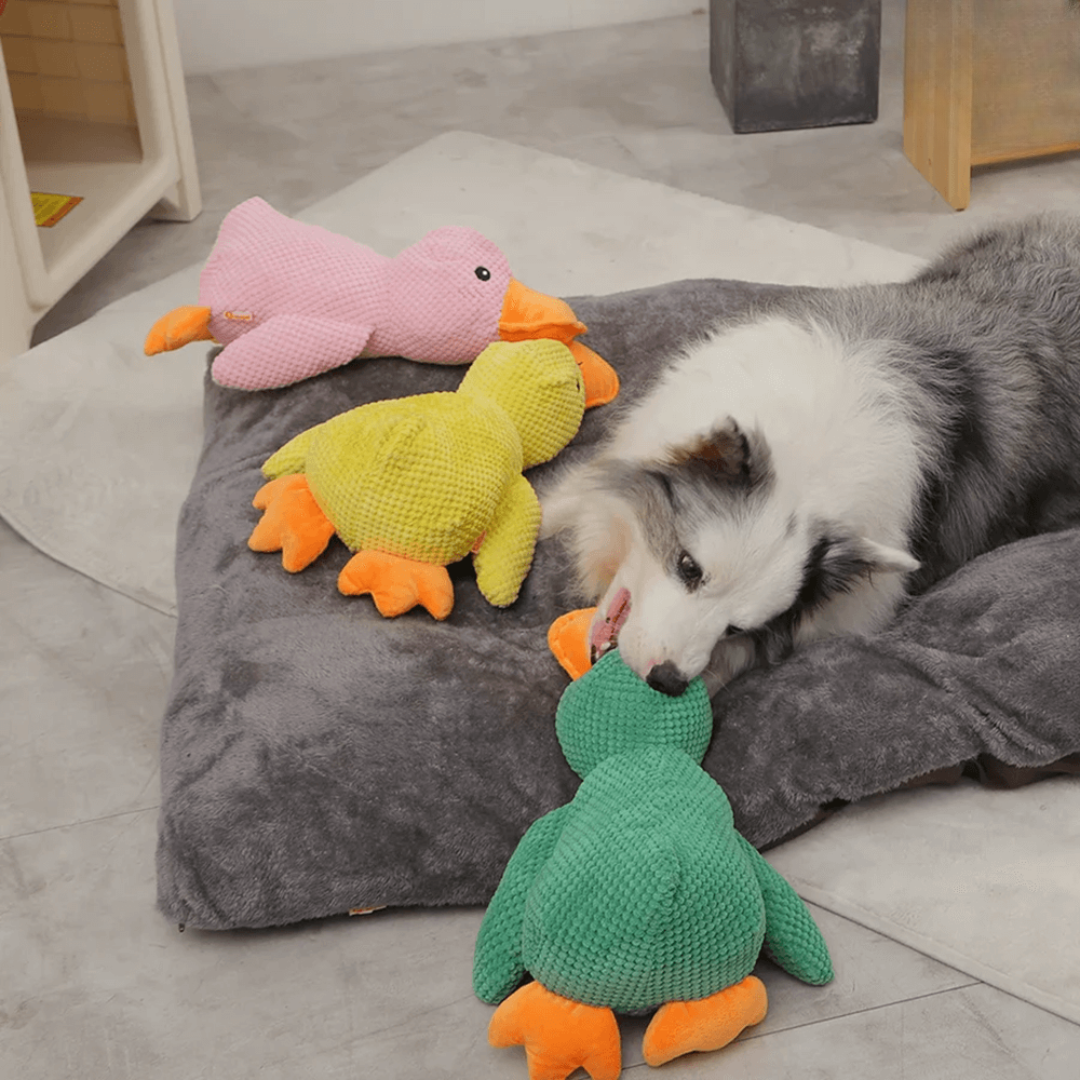 DuckyLund | Den beroligende ven mod hundens stress