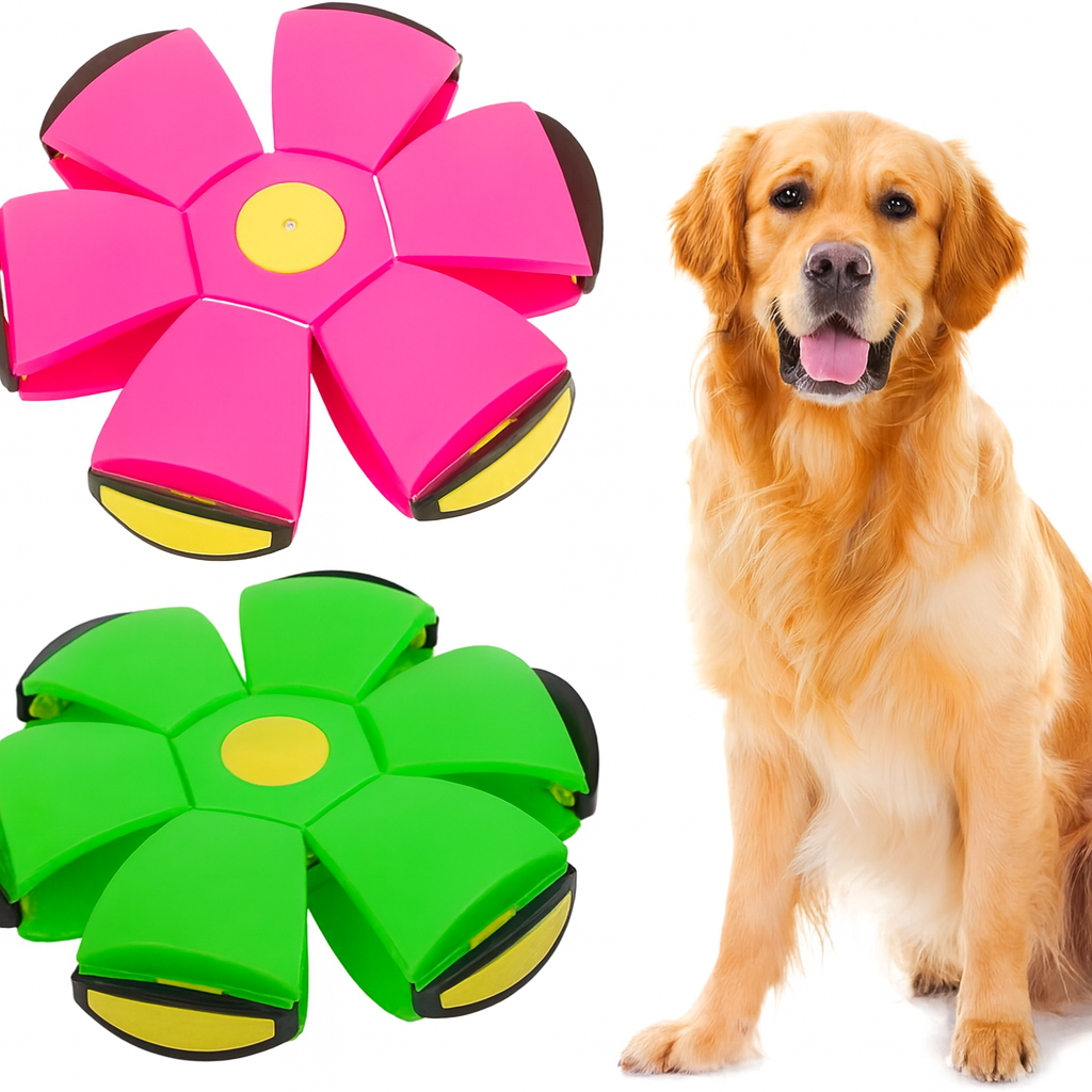 HundLykk | 2-i-1 Frisbee Bold for uendelig leg & glæde