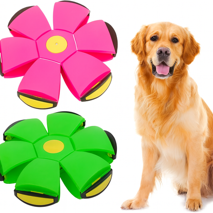 HundLykk | 2-i-1 Frisbee Bold for uendelig leg & glæde