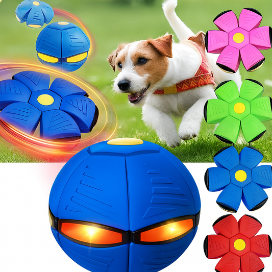 HundLykk | 2-i-1 Frisbee Bold for uendelig leg & glæde