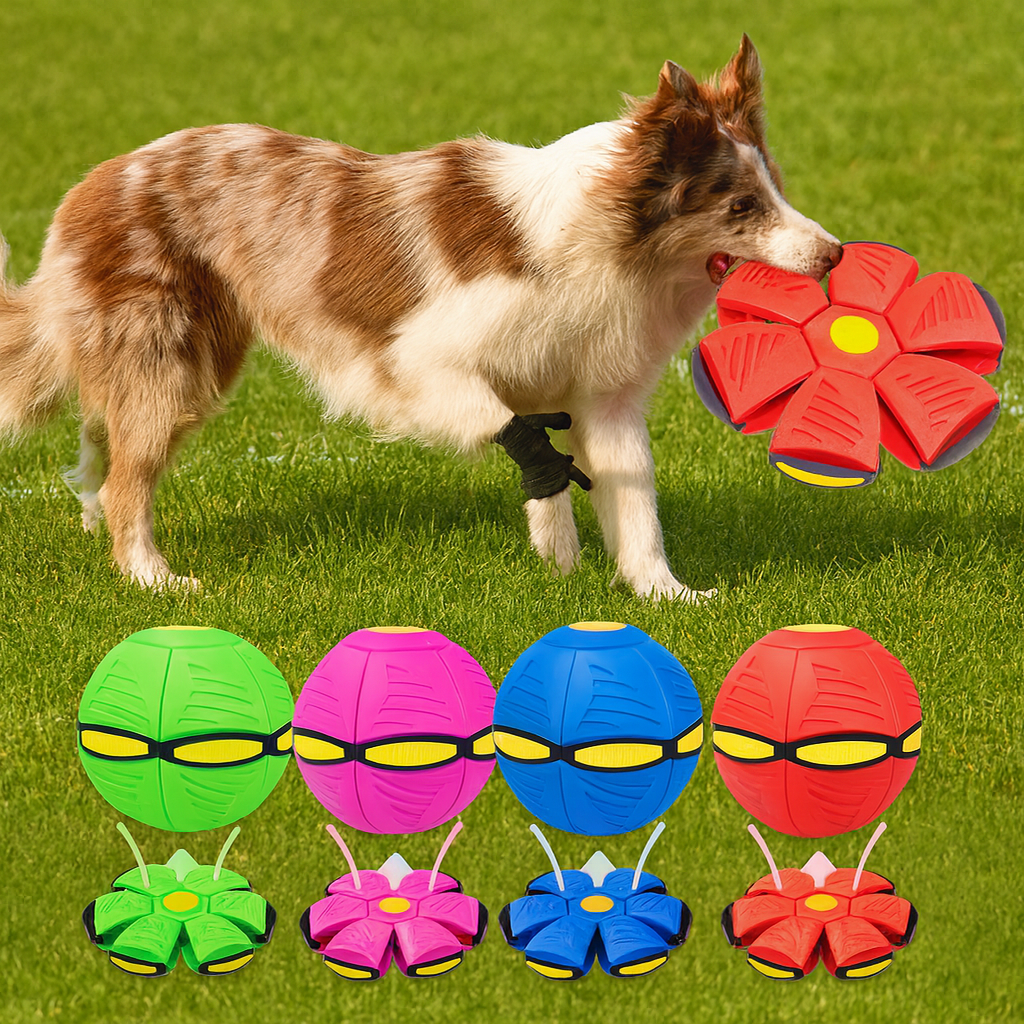 HundLykk | 2-i-1 Frisbee Bold for uendelig leg & glæde