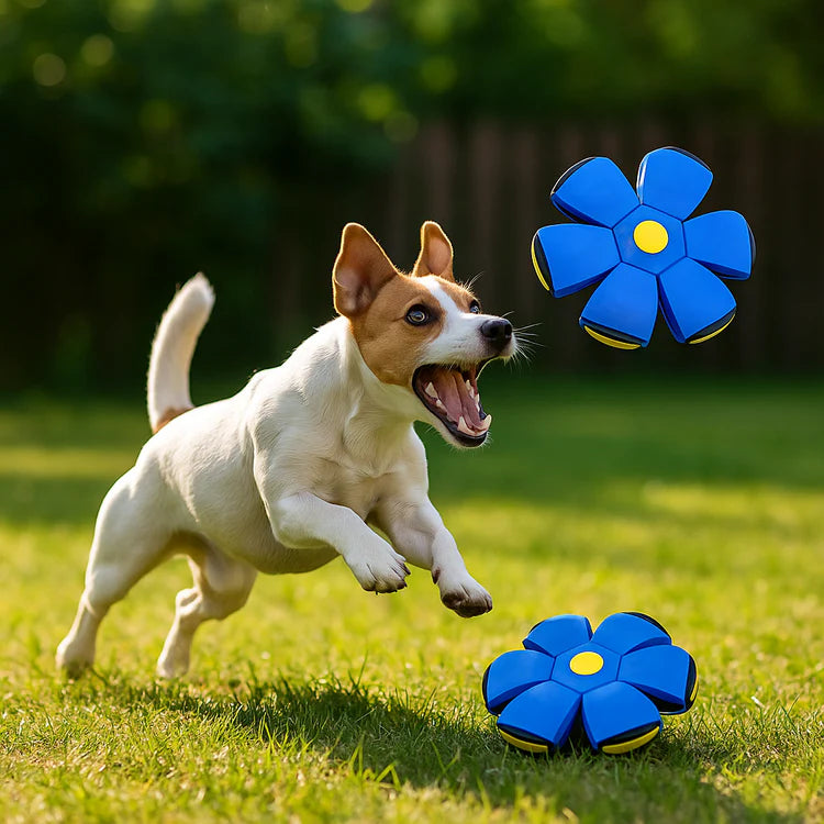 HundLykk | 2-i-1 Frisbee Bold for uendelig leg & glæde