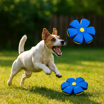 HundLykk | 2-i-1 Frisbee Bold for uendelig leg & glæde