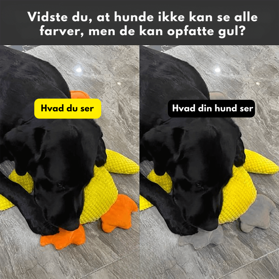 DuckyLund | Den beroligende ven mod hundens stress