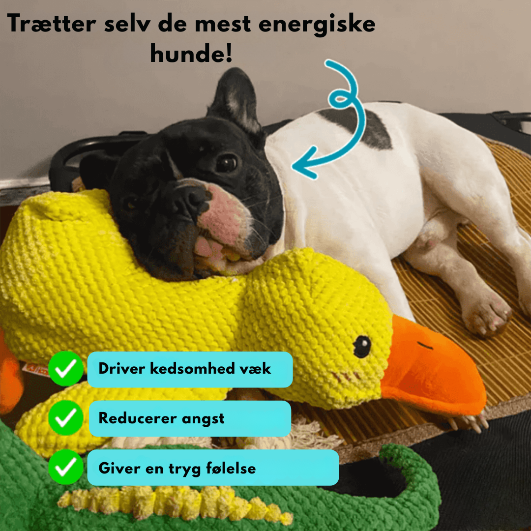 DuckyLund | Den beroligende ven mod hundens stress
