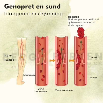 NeuroSoothe | Lindre fodsmerter og få varme fødder naturligt