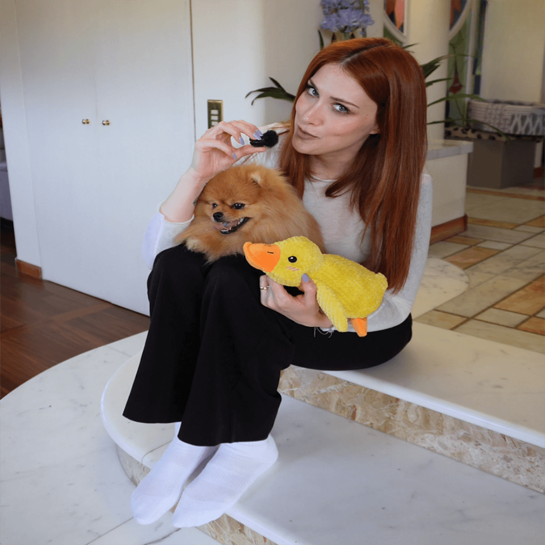 DuckyLund | Den beroligende ven mod hundens stress