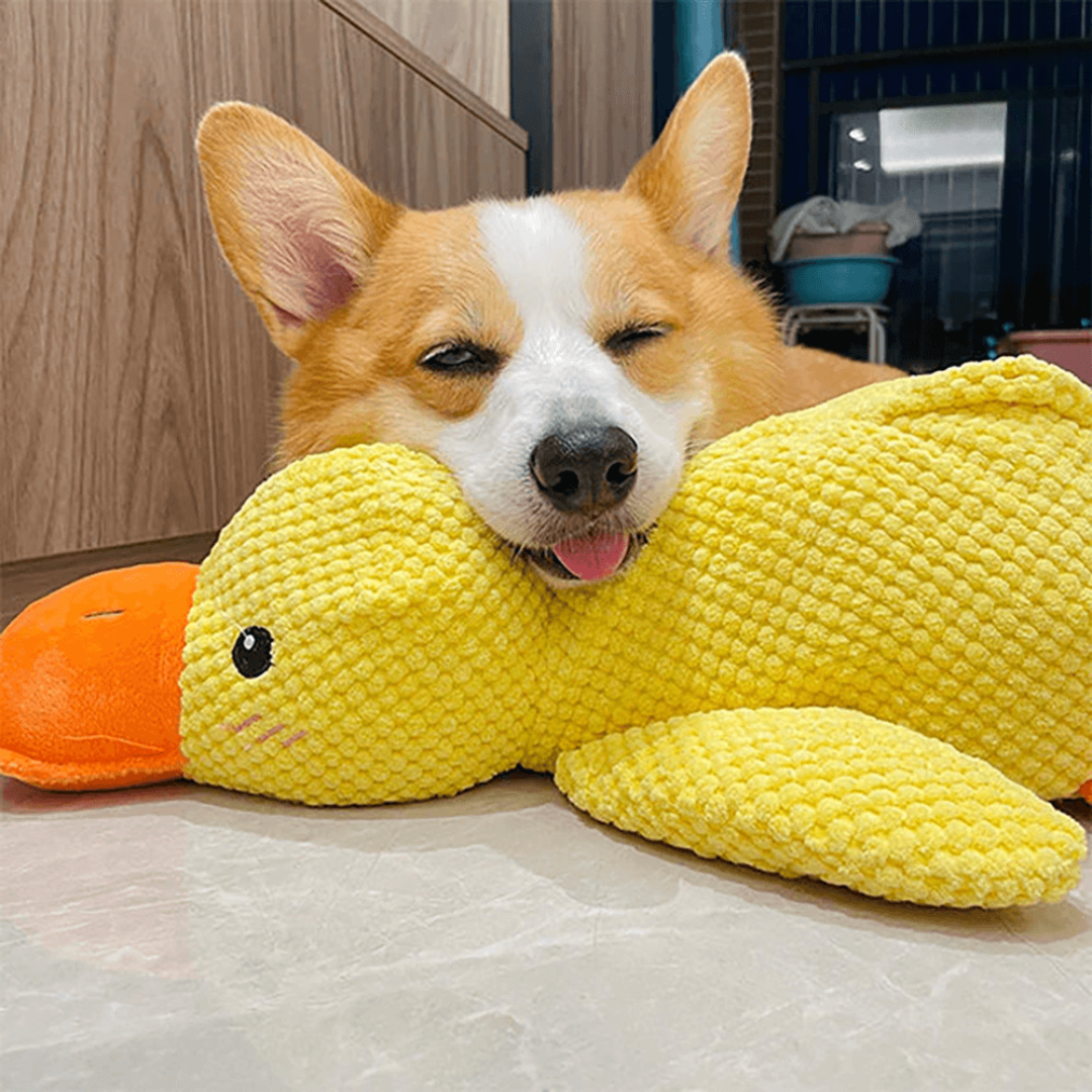 DuckyLund | Den beroligende ven mod hundens stress