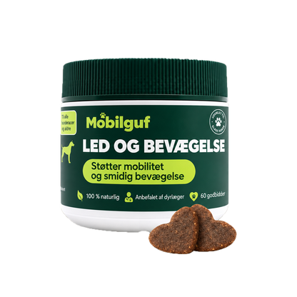 Mobilguf | Genopbyg Mobilitet Og Smidighed Med 10 Aktive Ingredienser I Én Daglig Snack