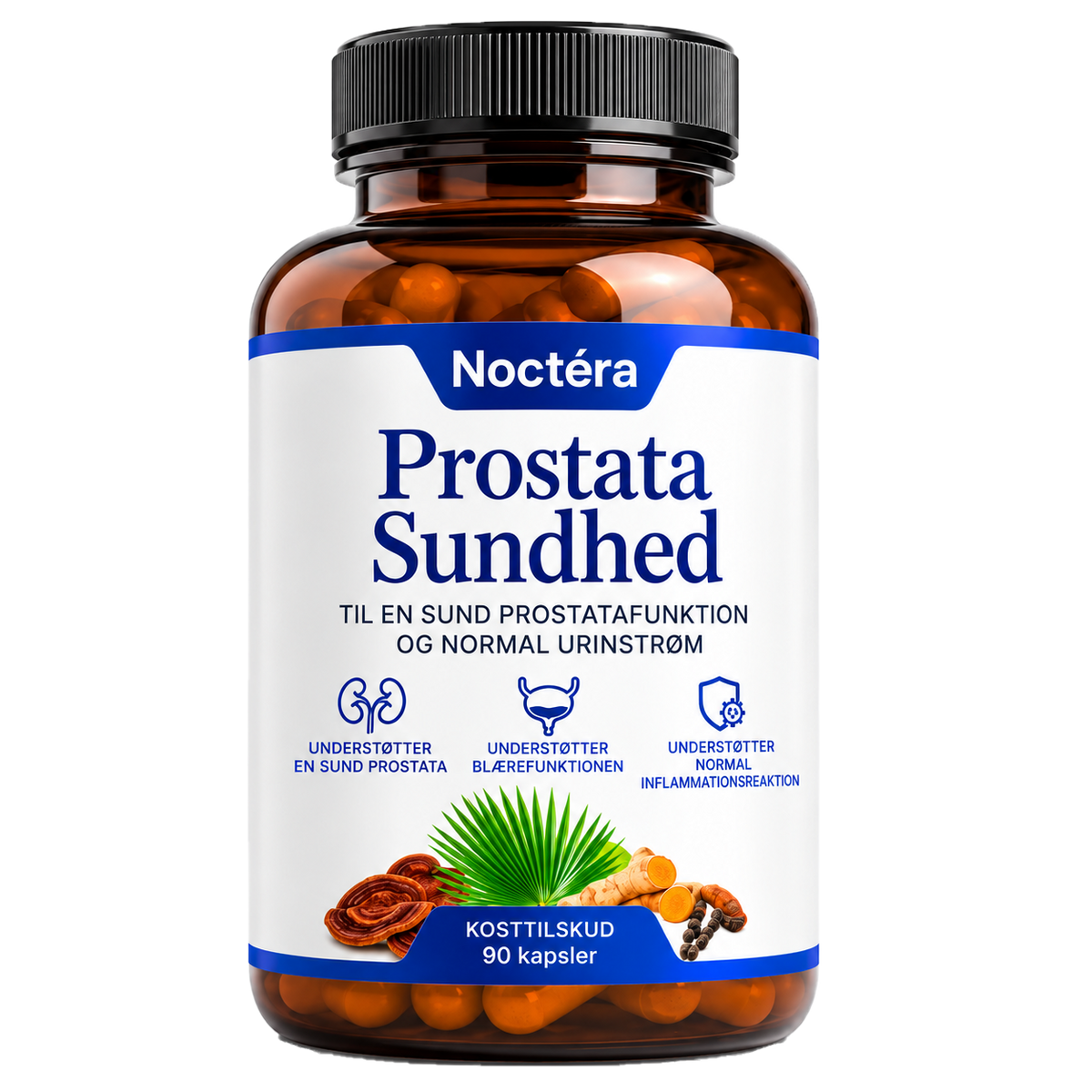 Noctéra Prostatastøtte | Støt Din Prostata Og Urinvejssundhed