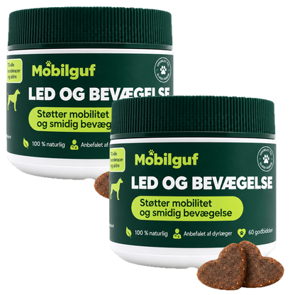 Mobilguf | Genopbyg Mobilitet Og Smidighed Med 10 Aktive Ingredienser I Én Daglig Snack