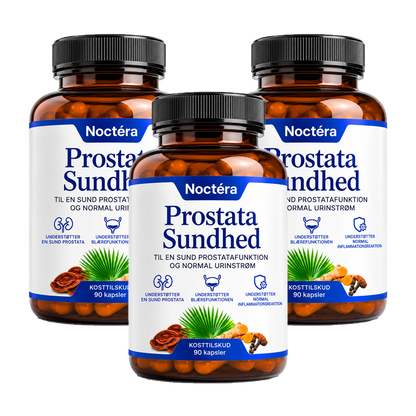 Noctéra Prostatastøtte | Støt Din Prostata Og Urinvejssundhed