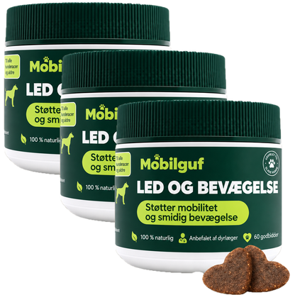 Mobilguf | Genopbyg Mobilitet Og Smidighed Med 10 Aktive Ingredienser I Én Daglig Snack
