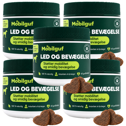 Mobilguf | Genopbyg Mobilitet Og Smidighed Med 10 Aktive Ingredienser I Én Daglig Snack
